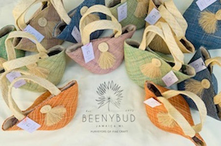 The Woven Wonders of BeenyBud
