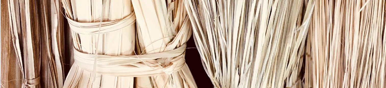 Natural fibers prepared for weaving
